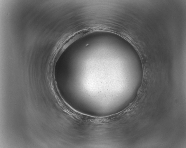 X0000056350241200509091603