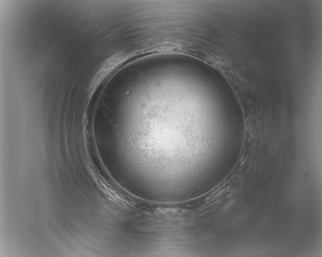 X0000056350242200509091603