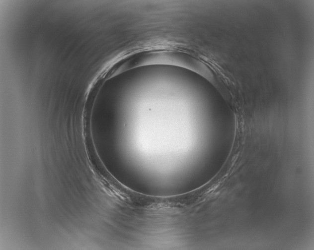 X0000056350244200509091604