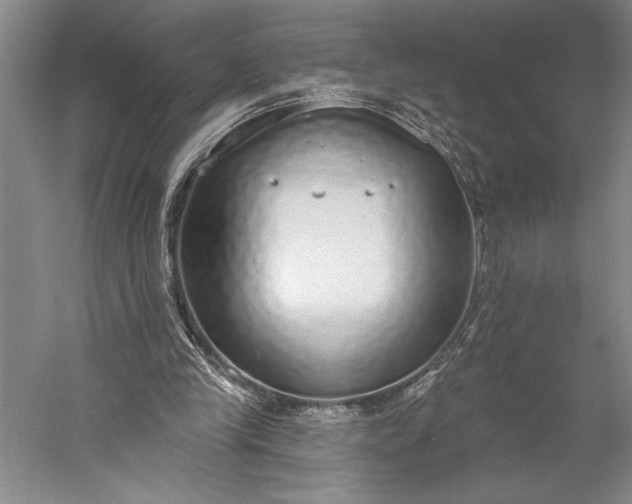 X0000056350245200509091604