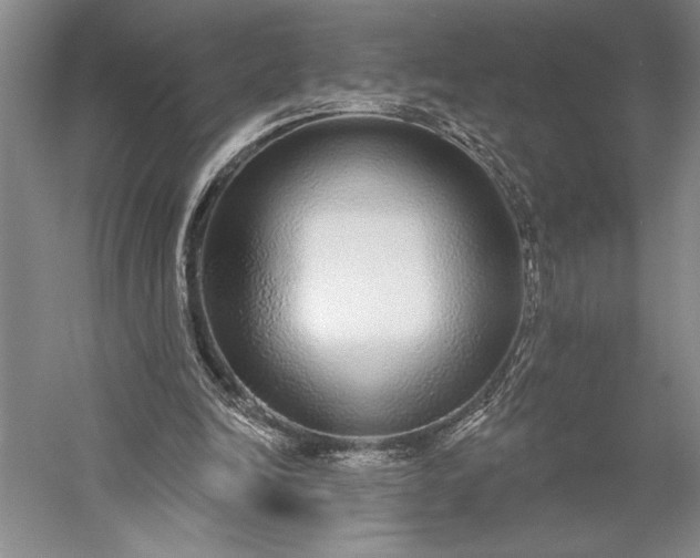 X0000056350246200509091604