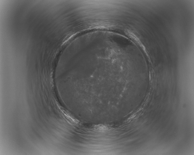 X0000056350249200509091604