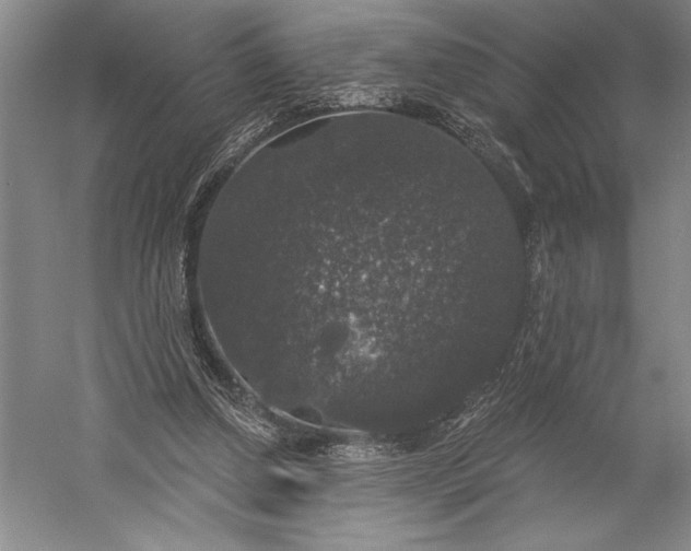 X0000056350250200509091604