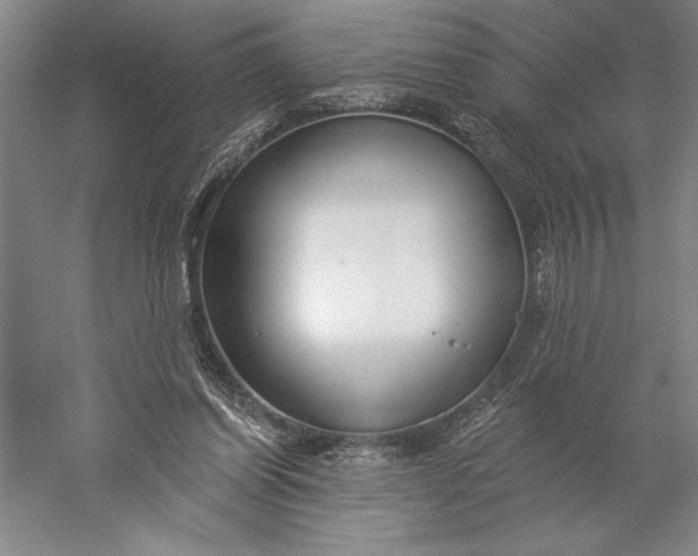 X0000056350254200509091604