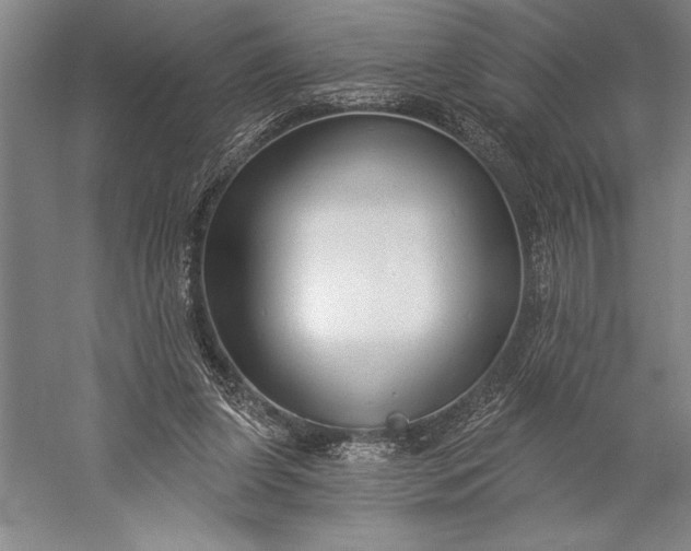 X0000056350255200509091604