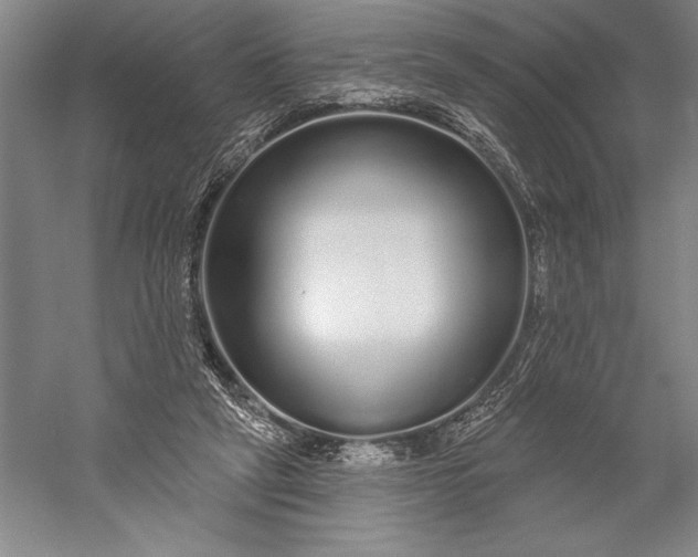 X0000056350257200509091604