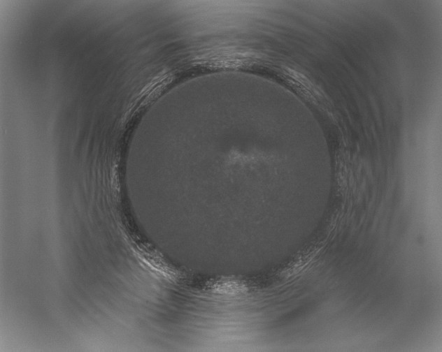 X0000056350258200509091604