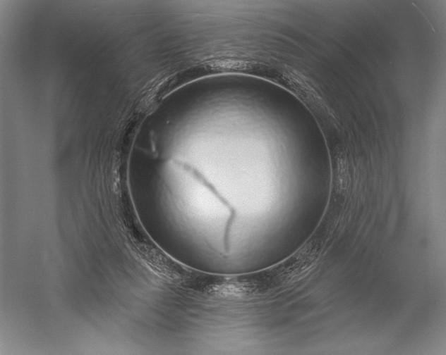 X0000056350259200509091604