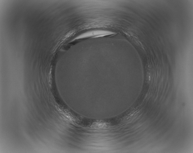 X0000056350260200509091604