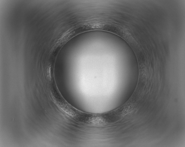 X0000056350262200509091604