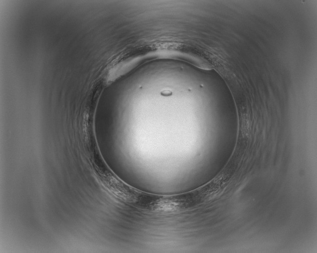 X0000056350263200509091604