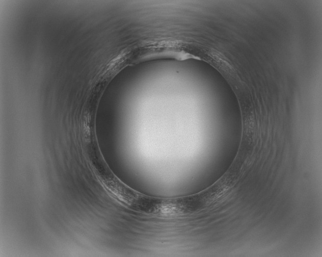 X0000056350264200509091604