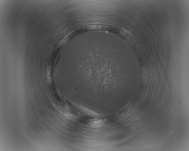 X0000056350267200509091604