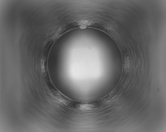 X0000056350268200509091604