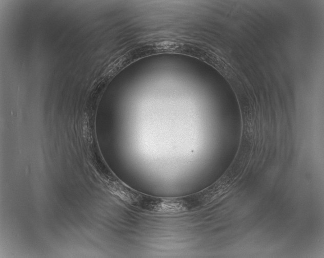 X0000056350270200509091604