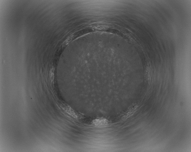 X0000056350271200509091604