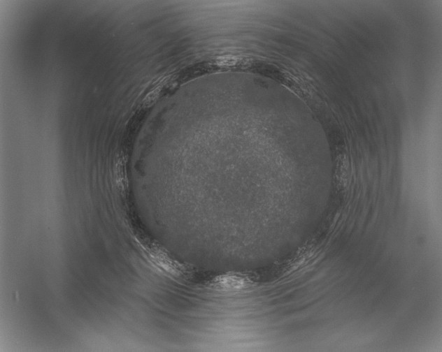 X0000056350272200509091604