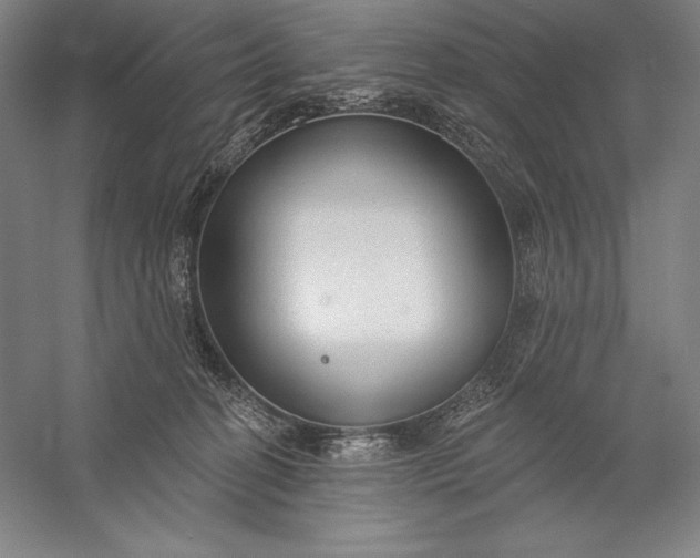 X0000056350274200509091604