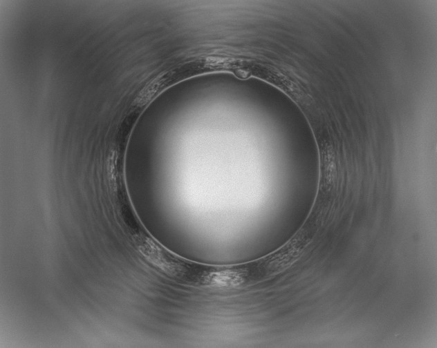 X0000056350275200509091604