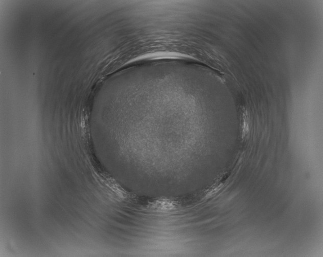 X0000056350276200509091604