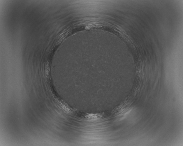 X0000056350277200509091604