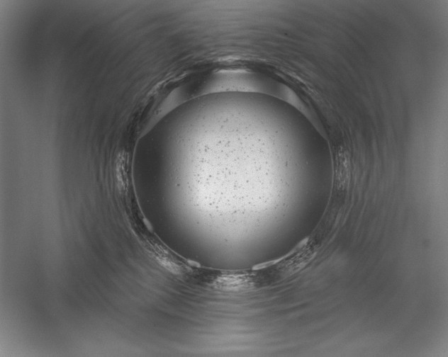 X0000056350280200509091604