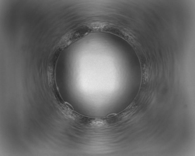 X0000056350283200509091604