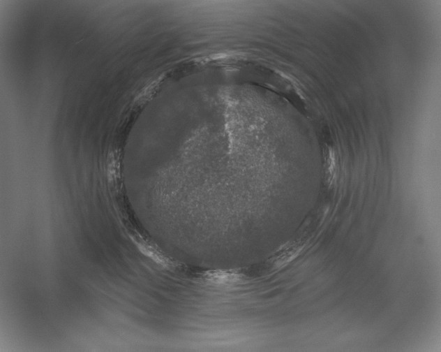 X0000056350284200509091604