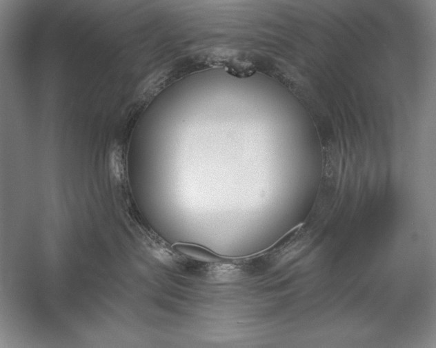 X0000056350287200509091604