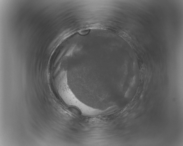 X0000056350290200509091603