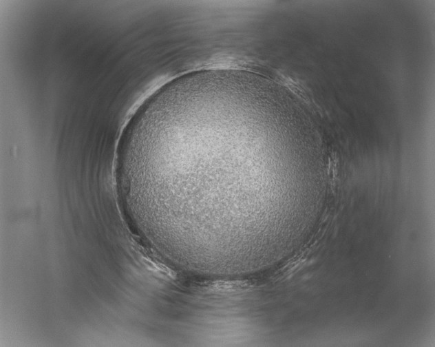 X0000056350292200509091603