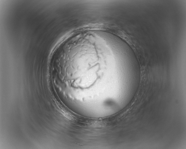 X0000056350293200509091603