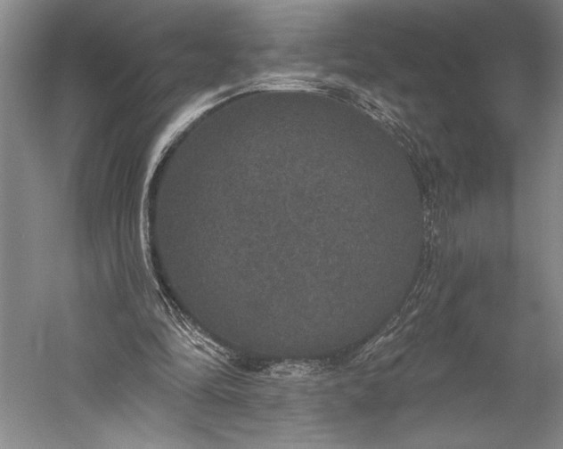 X0000056350294200509091603