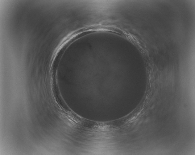 X0000056350295200509091603