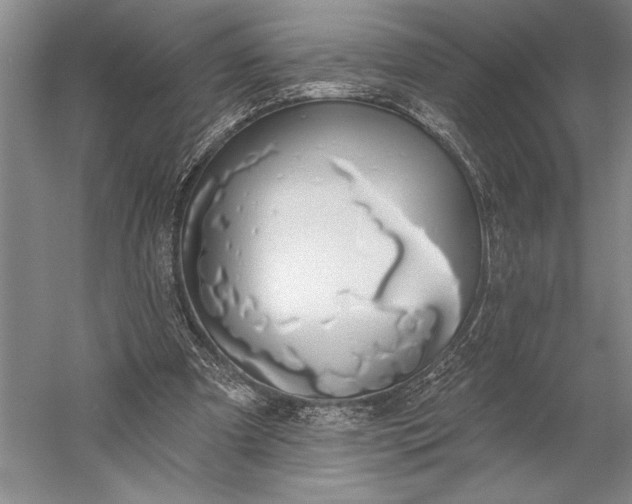 X0000056350297200509091603