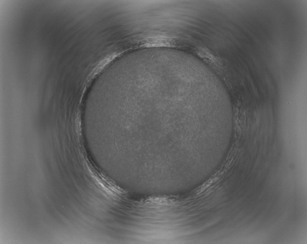 X0000056350298200509091603