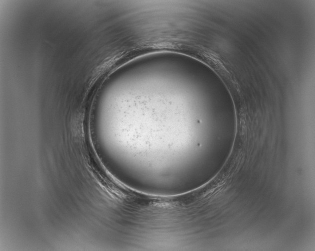 X0000056350299200509091603