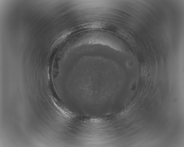 X0000056350302200509091603