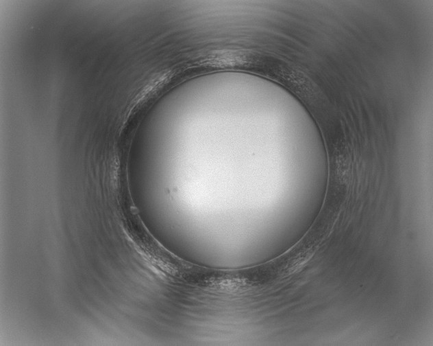 X0000056350304200509091603