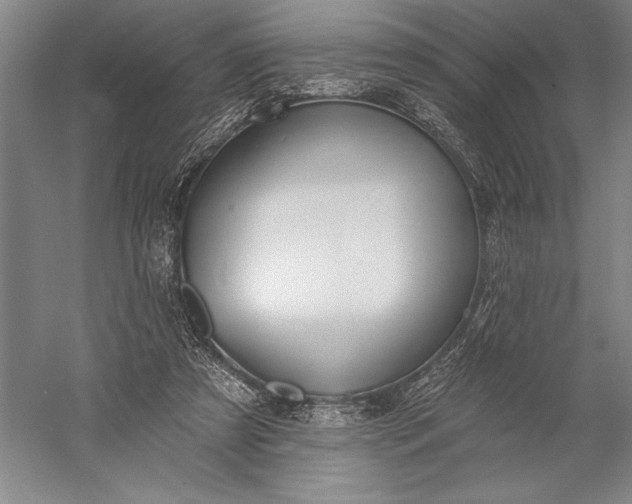 X0000056350305200509091603