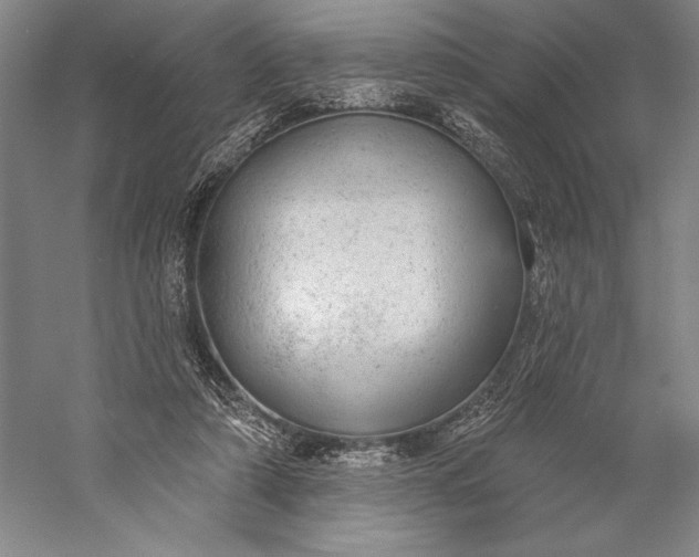 X0000056350306200509091603