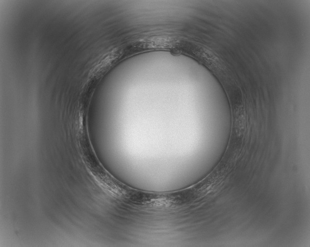 X0000056350310200509091603