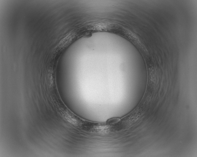 X0000056350313200509091603