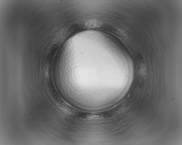 X0000056350315200509091603