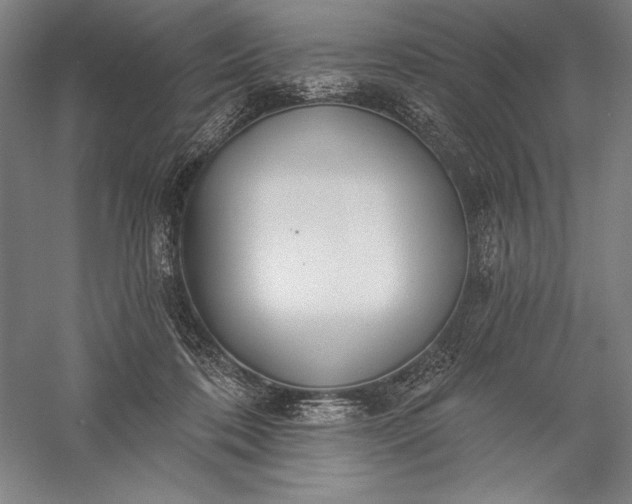 X0000056350316200509091603