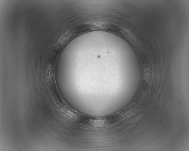 X0000056350318200509091603