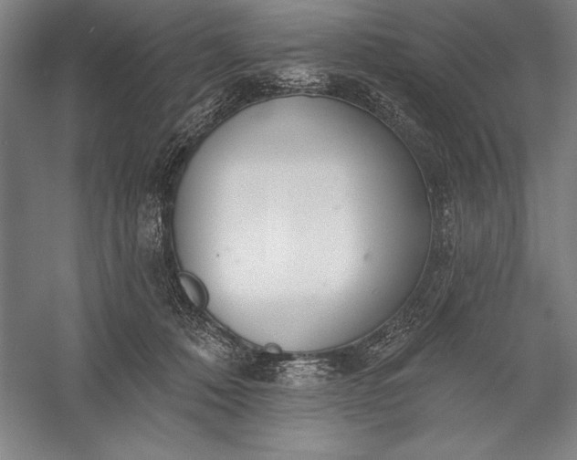 X0000056350320200509091603