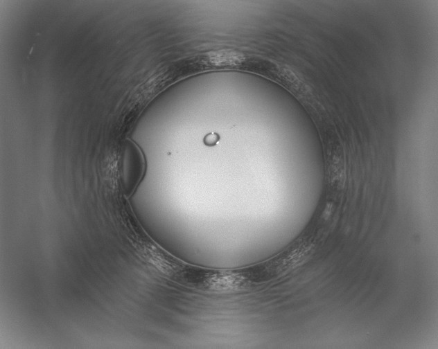 X0000056350321200509091603