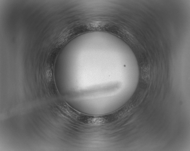 X0000056350324200509091603