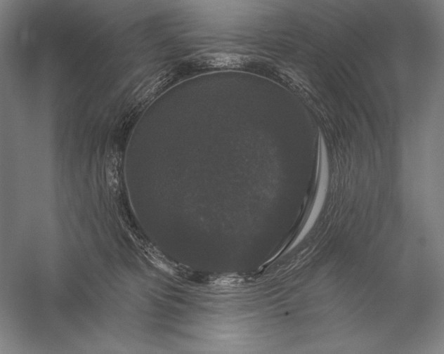 X0000056350325200509091603